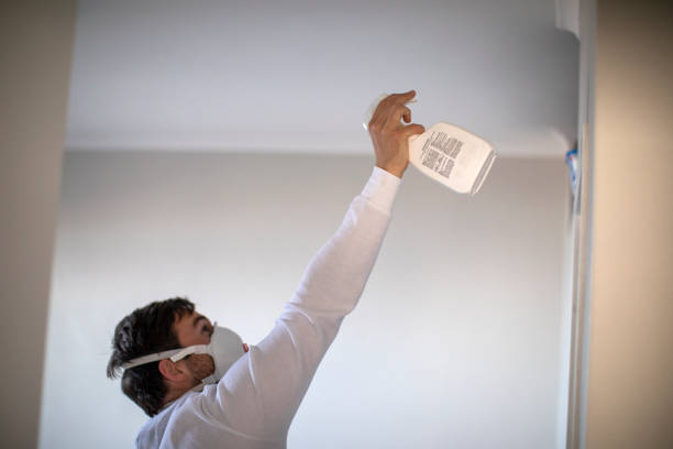 Best Kitchen Mold Remediation in Waterman, IL