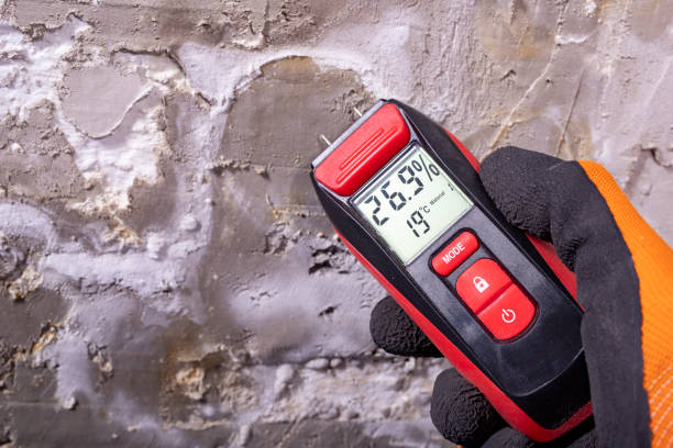 Best Basement Mold Remediation in Waterman, IL