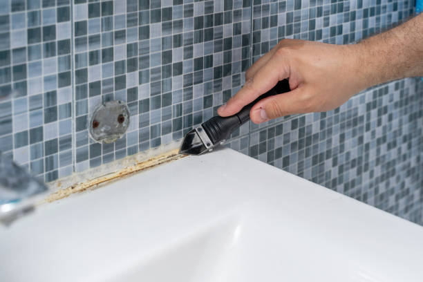 Best Residential Mold Remediation in Waterman, IL