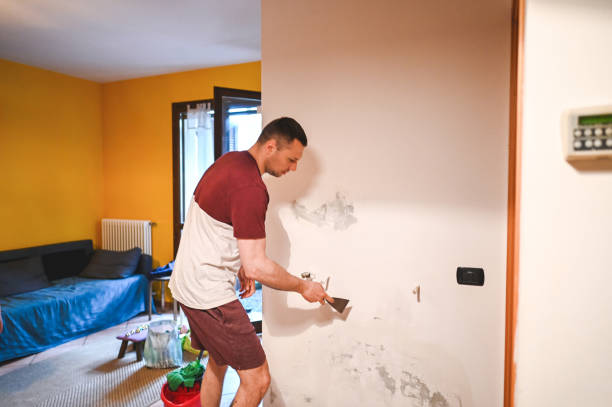Best Commercial Mold Remediation in Waterman, IL